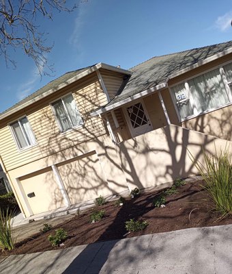 Design - Clean ups, plantings and garden design.