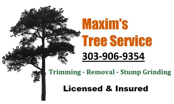 Tree Pruning - This locust tree had its crown cleaned and raised. Dead and poorly-structured branches were removed to improve form and encourage stronger growth. Tree Pruning - This locust tree had its crown cleaned and raised. Dead and poorly-structured branches were removed to improve form and encourage stronger growth.