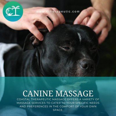 Canine Massage Therapy - Looking for massage therapy for your dog/canine near me? RAQ Today! Canine Massage Therapy - Looking for massage therapy for your dog/canine near me? RAQ Today!
