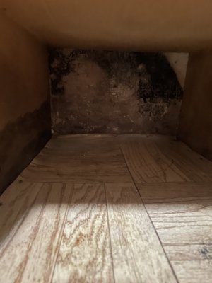 We Deliver Results... - We were brought in for a simple asbestos survey of the bathroom prior to remodel.  Our client was just recovering from a COVID hospitalization so we offered to take a look around to see if we saw anything concerning.  What we found was troubling... black mold throughout the kitchen cabinetry behind the pots and pans.  We are now assisting Robert in determining the scope and finding a qualified remediation company to assist in the process.  A patient inspector who cares about the client will often find things a homeowner has missed for years.