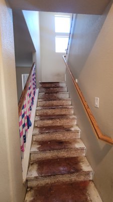Damage Restoration Services - Water Damage Restoration Project where we dealt with the flooring, drywall, cabinetry, and more.