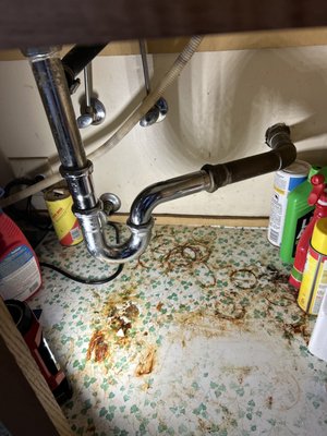 Kitchen Sink Leak & Dishwasher Drain Repair - Heise’s Plumbing was called out to inspect a leak under a kitchen sink and a dishwasher making a grinding sound while draining. Our technician found a clogged and leaking P-trap along with partial blockage in the dishwasher drain line.

We replaced the P-trap, cleared the drain, and unclogged the dishwasher line to restore proper drainage and eliminate the leak. After testing, all fixtures were working perfectly and the grinding noise was gone.

If your dishwasher leaks or makes noise during the drain cycle, it’s often caused by debris or buildup inside the drain system — both easily repaired with a quick service call.

Heise’s Plumbing – Trusted Since 1954