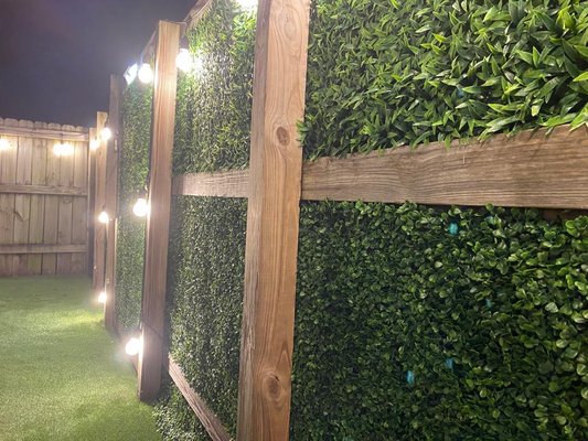 Lauderhill FL - For this project, the client wanted a comfortable yard with ivy walls. Then we chose the Deluxe grass for the floor and for the Ivy walls, a mix of Guava and Fern type. Lauderhill FL - For this project, the client wanted a comfortable yard with ivy walls. Then we chose the Deluxe grass for the floor and for the Ivy walls, a mix of Guava and Fern type.