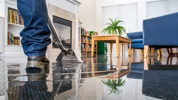 Restore Your Home, Eliminate Mold - Expert water damage services protect your property from water damage and mold with our comprehensive restoration services. We offer rapid water extraction advanced drying techniques and mold remediation to ensure your home is safe, healthy. Restore Your Home, Eliminate Mold - Expert water damage services protect your property from water damage and mold with our comprehensive restoration services. We offer rapid water extraction advanced drying techniques and mold remediation to ensure your home is safe, healthy.