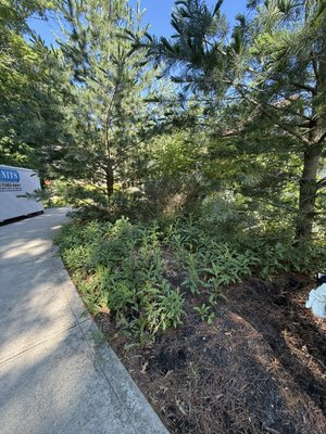 Weed removal and mulching - This homes flower beds needed some TlC and we were happy to help.