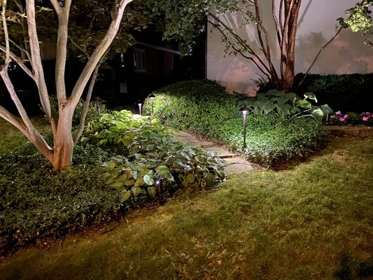 Landscape lighting- project Etobicoke - Landscape Lighting installation using our top of the Line solid cast brass led landscape lighting from corona lighting, Life time manufacturers warranty.