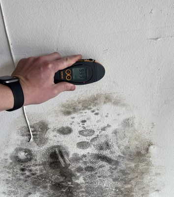 Mold Remediation - Mold is like a domino effect - if water damage appears at your property and isn't taken care of immediately, mold is formed and can spread throughout your property. It's very important to call us as soon as you catch any mold no matter how small it seems to prevent severe health hazards. Our professionals will assess properly, if any mold is found our team is highly trained and has the proper equipment to handle the situation.
Damage restoration Costa Mesa
Water damage restoration Costa Mesa
Fire damage restoration Costa Mesa
Mold removal Costa Mesa
Flood cleanup Costa Mesa
Emergency restoration Costa Mesa
Disaster restoration Costa Mesa
24/7 water removal Costa Mesa
Storm damage repair Costa Mesa
Emergency water extraction Costa Mesa
Smoke damage cleanup Costa Mesa
Sewage cleanup Costa Mesa
Flooded basement restoration Costa Mesa
Commercial restoration services Costa Mesa
Costa Mesa restoration company
Restoration services near me Costa Mesa
Damage repair in Costa Mesa CA
Best restoration company Costa Mesa
Insurance claim assistance Costa Mesa
Residential restoration Costa Mesa
Certified restoration experts Costa Mesa Mold Remediation - Mold is like a domino effect - if water damage appears at your property and isn't taken care of immediately, mold is formed and can spread throughout your property. It's very important to call us as soon as you catch any mold no matter how small it seems to prevent severe health hazards. Our professionals will assess properly, if any mold is found our team is highly trained and has the proper equipment to handle the situation.
Damage restoration Costa Mesa
Water damage restoration Costa Mesa
Fire damage restoration Costa Mesa
Mold removal Costa Mesa
Flood cleanup Costa Mesa
Emergency restoration Costa Mesa
Disaster restoration Costa Mesa
24/7 water removal Costa Mesa
Storm damage repair Costa Mesa
Emergency water extraction Costa Mesa
Smoke damage cleanup Costa Mesa
Sewage cleanup Costa Mesa
Flooded basement restoration Costa Mesa
Commercial restoration services Costa Mesa
Costa Mesa restoration company
Restoration services near me Costa Mesa
Damage repair in Costa Mesa CA
Best restoration company Costa Mesa
Insurance claim assistance Costa Mesa
Residential restoration Costa Mesa
Certified restoration experts Costa Mesa
