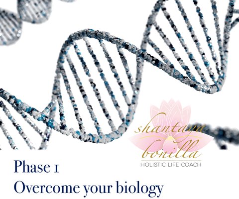 Overcome your Biology - E- motions = energy in motion ♥️ 
In this course ( also as sessions available) we discover who we really are, and understand why it seems sometimes difficult to cope with certain emotions. By following strategies we will find that we can learn to glide through the winds of change and move forward with confidence and inner peace.