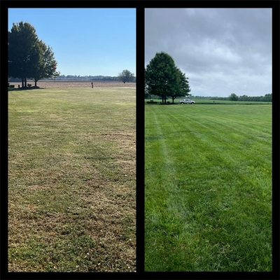 Lawn Care Plan - This customer trusted us in October 2023 to fix his lawn.  He got on our "Five Star Lawn Care Plan," and these are the results less than one year later in August 2024!