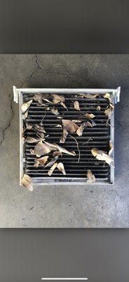 cabin filter replacement before and after to how dirty filters get - cabin filter replaced . customer complained smells inside and  ac not working very well