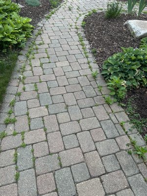 Landscape needs - We offer many landscape needs, from patios paver, seal coating, power washing, yard cleaning, pavers patuo restoration seal coating, lighting, design, stone placement, planting, mulching, seeding, top soil, sod and so much more! Landscape needs - We offer many landscape needs, from patios paver, seal coating, power washing, yard cleaning, pavers patuo restoration seal coating, lighting, design, stone placement, planting, mulching, seeding, top soil, sod and so much more!