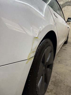 Tough Quarter Panel Save! 🛠️ - ust wrapped up this challenging quarter panel repair! The damage was deep and complex, with some heavy scratches involved. While many shops would have suggested a full repaint, we were able to save the original factory finish using Paintless Dent Repair (PDR).

By choosing PDR, the customer saved significant time and money, and most importantly—kept the car's resale value intact. No bondo, no mismatched paint, just clean metal work.

Got a nasty dent? Send us a photo for a free estimate! 📸