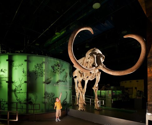 Attractions & Exhibitions - Commonly known as the "birthplace of Las Vegas," the Springs Preserve is a 180-acre cultural institution designed to commemorate Las Vegas' dynamic history and to provide a vision for a sustainable future. Featuring museums, galleries, a colorful botanical garden and an interpretive trail system, the Springs Preserve has evolved into a world-class attraction. Attractions & Exhibitions - Commonly known as the "birthplace of Las Vegas," the Springs Preserve is a 180-acre cultural institution designed to commemorate Las Vegas' dynamic history and to provide a vision for a sustainable future. Featuring museums, galleries, a colorful botanical garden and an interpretive trail system, the Springs Preserve has evolved into a world-class attraction.