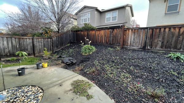 Mulch Removal - Rocklin - Was hired to remove the mulch from the backyard only.