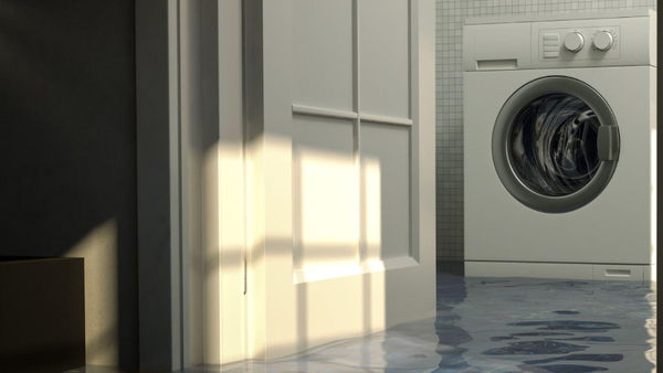 washing machine repair - For unmatched washer repair services look no further than ElectraFix Appliance Repair.
competitive pricing, and friendly, courteous customer service. Our appliance repair services (parts and labor) are fully guaranteed and we only use brand-specific parts direct from the original manufacturer. washing machine repair - For unmatched washer repair services look no further than ElectraFix Appliance Repair.
competitive pricing, and friendly, courteous customer service. Our appliance repair services (parts and labor) are fully guaranteed and we only use brand-specific parts direct from the original manufacturer.