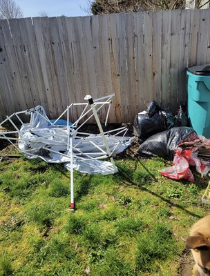 Backyard clean up. - We cleaned up this family’s backyard of unwanted junk. They now can enjoy their backyard like it was meant to be. Backyard clean up. - We cleaned up this family’s backyard of unwanted junk. They now can enjoy their backyard like it was meant to be.