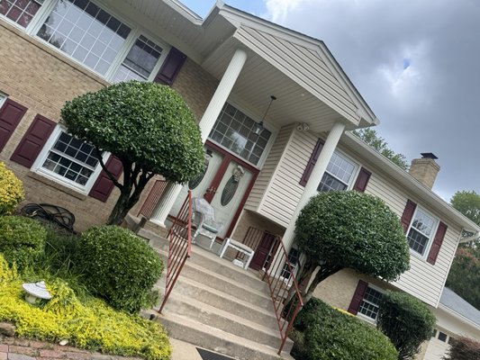 Shrubs and trees trimming - Pruning and shaping shrubs and trees to maintain health, safety, and aesthetic appeal. Shrubs and trees trimming - Pruning and shaping shrubs and trees to maintain health, safety, and aesthetic appeal.
