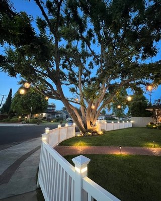 Sherman Oaks Outdoor Lighting Installation - We are so happy with the results with this beautiful pendent lights installation, and the tree mini lights warping