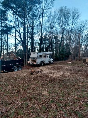 Stump Grinding with McNeair's Tree Service - If you once had trees in your yard, but now there's nothing but an unsightly stump, let McNeair's Tree Service make it disappear with our thorough stump grinding services. Using the most powerful equipment at our disposal, we will grind the stump down to wooden chips, making it easier to clean up, seeming as though the stump has disappeared without a trace. The process is fast and efficient, and the stump can be ground down to any size you prefer. For more information about our stump grinding, tree removal, or tree trimming services, please don't hesitate to get in contact with us at McNeair's Tree Service today!