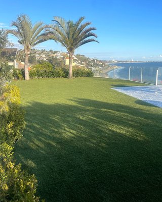 Ocean View Artificial Turf Lawn – Pacific Palisades Backyard - This project features a luxury artificial turf lawn installation in Pacific Palisades overlooking the Pacific Ocean. The homeowners wanted a clean, natural-looking lawn that would complement the property’s ocean views while eliminating the watering and maintenance required by traditional grass.
The installation created a large, open green space framed by mature palm trees and coastal landscaping. Artificial turf provides a durable, low-maintenance solution that remains vibrant year-round, even in coastal environments where natural grass can struggle.
For oceanfront and hillside properties in Pacific Palisades, Santa Monica, and Malibu, artificial turf is an ideal solution for maintaining a beautiful lawn while reducing irrigation, mowing and ongoing landscape maintenance.
The finished space creates a lush outdoor environment that maximizes the home’s spectacular coastal setting. Ocean View Artificial Turf Lawn – Pacific Palisades Backyard - This project features a luxury artificial turf lawn installation in Pacific Palisades overlooking the Pacific Ocean. The homeowners wanted a clean, natural-looking lawn that would complement the property’s ocean views while eliminating the watering and maintenance required by traditional grass.
The installation created a large, open green space framed by mature palm trees and coastal landscaping. Artificial turf provides a durable, low-maintenance solution that remains vibrant year-round, even in coastal environments where natural grass can struggle.
For oceanfront and hillside properties in Pacific Palisades, Santa Monica, and Malibu, artificial turf is an ideal solution for maintaining a beautiful lawn while reducing irrigation, mowing and ongoing landscape maintenance.
The finished space creates a lush outdoor environment that maximizes the home’s spectacular coastal setting.