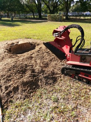 March 26th Stumps - A busy day grinding March 26th Stumps - A busy day grinding