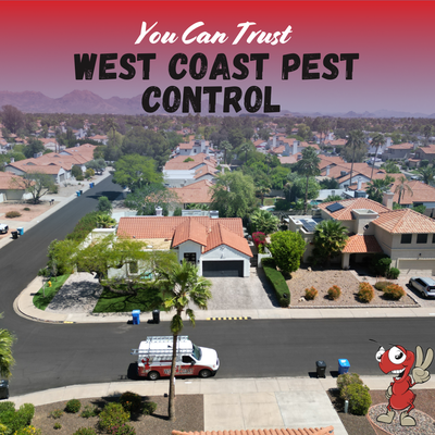 Pest Control Services. - When it comes to the best pest control - Give us a call today or no contracts and custom pest services. We offer service from Scorpions to Ants. Our spray is pet and kid friendly and backed by warranty. Pest Control Services. - When it comes to the best pest control - Give us a call today or no contracts and custom pest services. We offer service from Scorpions to Ants. Our spray is pet and kid friendly and backed by warranty.
