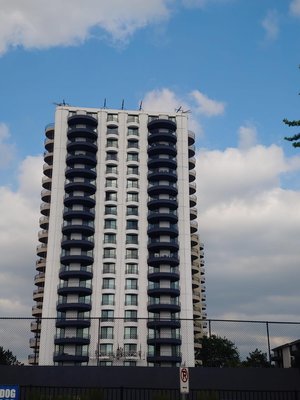 Exterior Renovation at Wheaton Center in Wheaton IL - Metanoia Construction is doing exterior renovations at Wheaton Center! In Wheaton, IL. We are excited to be working on one of the most recognizable landmarks of the city, a 758-unit apartment complex on 14 acres in downtown Wheaton. The six-building complex includes two twenty-story high-rise buildings built in 1975. Exterior Renovation at Wheaton Center in Wheaton IL - Metanoia Construction is doing exterior renovations at Wheaton Center! In Wheaton, IL. We are excited to be working on one of the most recognizable landmarks of the city, a 758-unit apartment complex on 14 acres in downtown Wheaton. The six-building complex includes two twenty-story high-rise buildings built in 1975.
