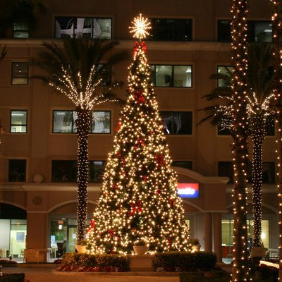 Commercial Interior Tree designs. floral and props - Commercial Custom Designed christmas tree's is what we specialize in, 6' to 60'. We also custom design wreaths and garland to match, florals for mantels and tables, props for entryways, Santa's, Elves, Reindeer, Oversized large ornaments, presents, you name it we do it all.