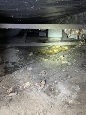 Sewage Clean up - If you are in need of emergency sewage clean up at your home or business, call Water Damage Pros! Our technicians follow strict industry standards in order to get your home or business cleaned and safe. No job is too small or too dirty. Sewage Clean up - If you are in need of emergency sewage clean up at your home or business, call Water Damage Pros! Our technicians follow strict industry standards in order to get your home or business cleaned and safe. No job is too small or too dirty.