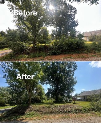 Invasive honeysuckle & Tree Removal - On this property, I removed a few unwanted trees along with a heavy infestation of invasive honeysuckle. The overgrowth had been crowding out the yard and limiting visibility. After careful removal and cleanup, the space is now open, healthier, and easier to maintain. Invasive honeysuckle & Tree Removal - On this property, I removed a few unwanted trees along with a heavy infestation of invasive honeysuckle. The overgrowth had been crowding out the yard and limiting visibility. After careful removal and cleanup, the space is now open, healthier, and easier to maintain.