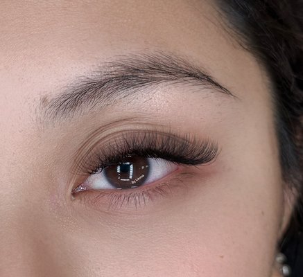 Clover - Clover lash extensions are an excellent choice for those seeking a fuller, softer, and more dimensional lash look without the heaviness of traditional volume lashes. They offer a perfect balance between classic and volume styles. Clover - Clover lash extensions are an excellent choice for those seeking a fuller, softer, and more dimensional lash look without the heaviness of traditional volume lashes. They offer a perfect balance between classic and volume styles.