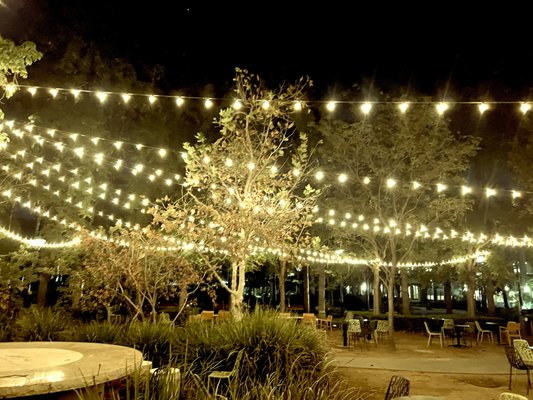 STRING LIGHTS SF - Updated July 2026 - 29 Photos - San Francisco ...