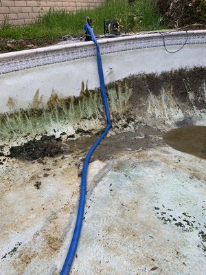 Green to blue￼ - We took this pool from being slimy green, we literally had to use a flat shovel to remove the gunk off the walls acid washed completely cleaned the steps￼ Went from green to blue￼.