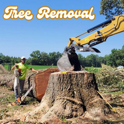 Tree Removal Services - Tree removal and trimming services available. Tree Removal Services - Tree removal and trimming services available.