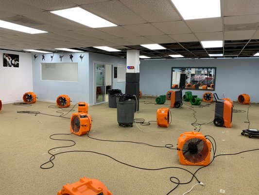 Commercial Water Damage Restoration - May 2022 - Water Damage Restoration APS team has done this Commercial Water Damage Restoration project in Arlington.