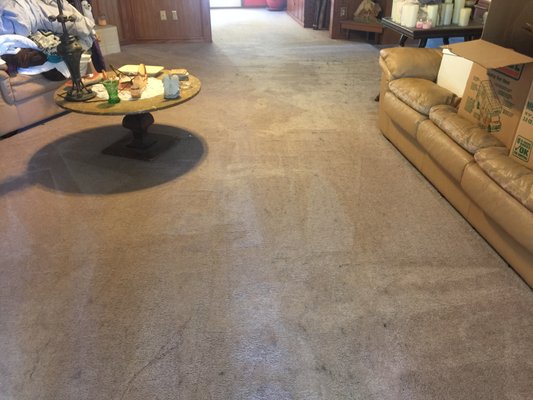 Heavy Stain Removal - We specialize in removing heavy stains and odors. Your home or business will be refreshed. It's a psychological up-boost. Heavy Stain Removal - We specialize in removing heavy stains and odors. Your home or business will be refreshed. It's a psychological up-boost.