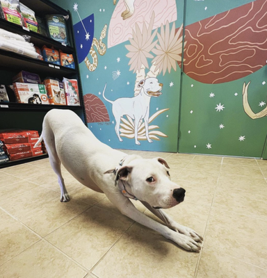 Take a tour of our store - We have our Grand Opening on November 18th so come celebrate with us! Take a tour of our store - We have our Grand Opening on November 18th so come celebrate with us!