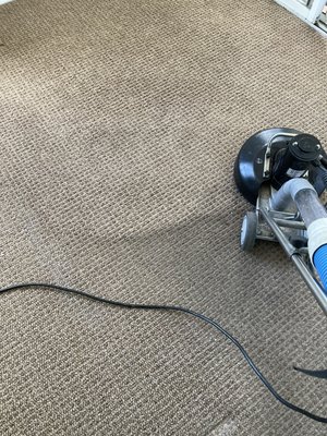 carpet repair - carpet restrech and repairs