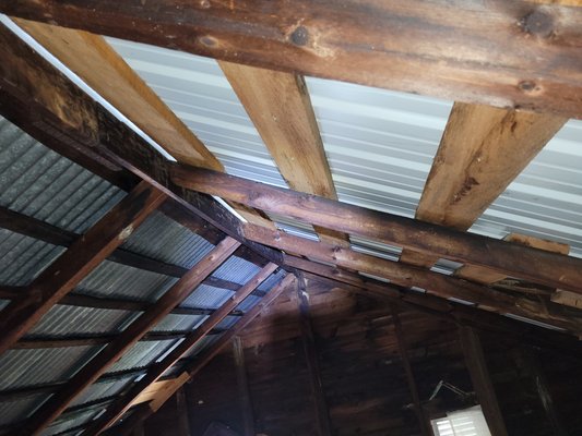 Bat Removal - When these homeowners found bat droppings in the attic, they were highly concerned!  After contacting Critter Control, we put a custom plan for their 6 bedroom farmhouse to be free of bats.  After a couple of weeks of hard work, the bats were gone!  Boy were they happy campers!