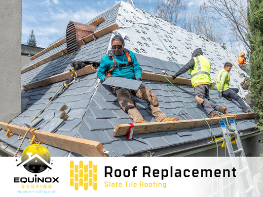 Roof Replacement | Slate Tile Roofing - *Equinox Roofing – Luxury Redefined with DaVinci Synthetic Slate*
Feast your eyes on this exquisite roof transformation featuring premium DaVinci synthetic slate tiles. Designed for elegance and engineered for endurance, this high-end installation brings timeless beauty to a modern mansion. At Equinox Roofing, we deliver sophistication without compromise. Roof Replacement | Slate Tile Roofing - *Equinox Roofing – Luxury Redefined with DaVinci Synthetic Slate*
Feast your eyes on this exquisite roof transformation featuring premium DaVinci synthetic slate tiles. Designed for elegance and engineered for endurance, this high-end installation brings timeless beauty to a modern mansion. At Equinox Roofing, we deliver sophistication without compromise.