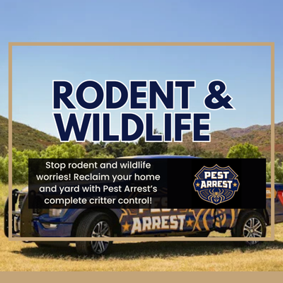 🐀 Rodent & Wildlife Control – Stop Invaders, Reclaim Your Home! 🦝 - 🐀 Rodent & Wildlife Control – Stop Invaders, Reclaim Your Home! 🦝
Are you hearing scratching in your attic or seeing droppings in the garage? Rodents and nuisance wildlife threaten your peace and property, but Pest Arrest’s full-spectrum rodent and animal control solutions have Valencia, Santa Clarita, and the San Fernando Valley covered. With over 30 years of expertise, our family-operated team tackles:
🐀 Mice & Rats: Quick, humane capture and thorough exclusion.
🦝 Raccoons, Squirrels, & Opossums: Humane trapping and relocation, keeping animals and your family safe.
🦔 Gophers, Moles, & Voles: Lawn-saving, landscape-friendly treatments that target underground invaders at the source.
🦜 Birds, Snakes, & More: Specialized removal and cleanup.
Why Choose Pest Arrest’s Rodent & Wildlife Services?
🛠️ Tailored Exclusion: We don’t just trap—we seal entry points, repair chewed wires, and reinforce weak spots so pests can’t come back.
🧼 Sanitization & Remediation: Attic and crawlspaces are cleaned, sanitized, and deodorized after infestations—protecting your family’s health.
🌱 Eco-Conscious and Pet Safe: Solutions that work for both rural and urban homes, with minimal risk to children, pets, and wildlife.
🏘️ Trusted Local Team: Our techs are part of the community—serving LA, Ventura, and Santa Clarita for decades.
Our Process:
Free inspection ✔️
Detailed trapping plan ✔️
Safe removal & exclusion ✔️
Full cleanup & prevention education ✔️
Customers Rave About:
“Rodent issue in the garage? Gone in three days—plus they showed me how to prevent future visits. Professional, friendly, honest.”
“Gopher problem finally solved after months of frustration—these guys get it done.” 🐀 Rodent & Wildlife Control – Stop Invaders, Reclaim Your Home! 🦝 - 🐀 Rodent & Wildlife Control – Stop Invaders, Reclaim Your Home! 🦝
Are you hearing scratching in your attic or seeing droppings in the garage? Rodents and nuisance wildlife threaten your peace and property, but Pest Arrest’s full-spectrum rodent and animal control solutions have Valencia, Santa Clarita, and the San Fernando Valley covered. With over 30 years of expertise, our family-operated team tackles:
🐀 Mice & Rats: Quick, humane capture and thorough exclusion.
🦝 Raccoons, Squirrels, & Opossums: Humane trapping and relocation, keeping animals and your family safe.
🦔 Gophers, Moles, & Voles: Lawn-saving, landscape-friendly treatments that target underground invaders at the source.
🦜 Birds, Snakes, & More: Specialized removal and cleanup.
Why Choose Pest Arrest’s Rodent & Wildlife Services?
🛠️ Tailored Exclusion: We don’t just trap—we seal entry points, repair chewed wires, and reinforce weak spots so pests can’t come back.
🧼 Sanitization & Remediation: Attic and crawlspaces are cleaned, sanitized, and deodorized after infestations—protecting your family’s health.
🌱 Eco-Conscious and Pet Safe: Solutions that work for both rural and urban homes, with minimal risk to children, pets, and wildlife.
🏘️ Trusted Local Team: Our techs are part of the community—serving LA, Ventura, and Santa Clarita for decades.
Our Process:
Free inspection ✔️
Detailed trapping plan ✔️
Safe removal & exclusion ✔️
Full cleanup & prevention education ✔️
Customers Rave About:
“Rodent issue in the garage? Gone in three days—plus they showed me how to prevent future visits. Professional, friendly, honest.”
“Gopher problem finally solved after months of frustration—these guys get it done.”