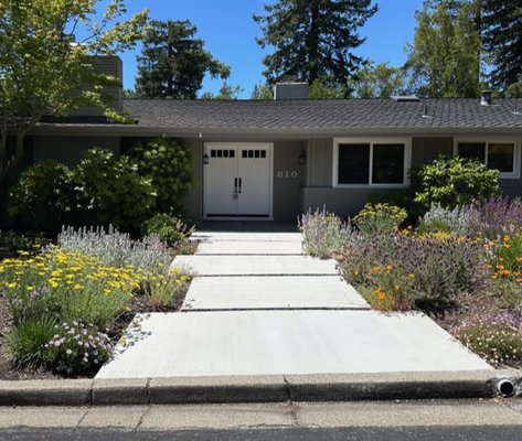 Moraga Shifting Concrete Entry - Shifting concrete slabs create an impressive entry to the residence. Smaller scale pathway is provided between the entry and driveway. California native plant material and low maintenance drought tolerant plants provide seasonal interest.
Installed by Llamas Building Crew Moraga Shifting Concrete Entry - Shifting concrete slabs create an impressive entry to the residence. Smaller scale pathway is provided between the entry and driveway. California native plant material and low maintenance drought tolerant plants provide seasonal interest.
Installed by Llamas Building Crew