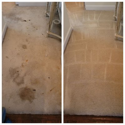 Carpet Cleaning and Spot Removal - We are definitely no stranger to spot removal! We offer free pet odor and spot removal treatment with every cleaning! Routine cleaning of your carpets not only promotes a healthy home environment but also helps prolong the life of your carpets!