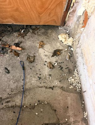 #pieallenpestservices x #spidercontrol - May 2019: Spider Control in Tucson, AZ

Pie Allen Pest Services successfully completed comprehensive spider control treatment for a residential property in Tucson's foothills area. The project involved identifying and treating multiple spider species common to the Sonoran Desert region, including black widows and wolf spiders. Our team implemented targeted application methods around entry points, web removal from eaves and corners, and established a perimeter treatment plan. The spider control service resulted in significant reduction of spider activity within two weeks, with follow-up treatments ensuring long-term protection for the homeowner's family.