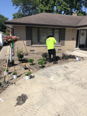 Front Yard Renovation - This was a front yard landscape renovation. New sod Front Yard Renovation - This was a front yard landscape renovation. New sod