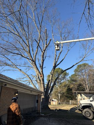 RC tree service - RC Tree Services LLC takes pride in offering excellent and quick tree services in the Huntsville Alabama area and surrounding areas. We have 19 years of experience, are highly qualified to handle your tree service needs, and are Licensed & Insured. Our customer reviews reflect our expertise and the care we take on the job. We guarantee we can help you in all of your tree service needs. See samples of our work. Contact us today to receive a FREE ESTIMATE. RC tree service - RC Tree Services LLC takes pride in offering excellent and quick tree services in the Huntsville Alabama area and surrounding areas. We have 19 years of experience, are highly qualified to handle your tree service needs, and are Licensed & Insured. Our customer reviews reflect our expertise and the care we take on the job. We guarantee we can help you in all of your tree service needs. See samples of our work. Contact us today to receive a FREE ESTIMATE.