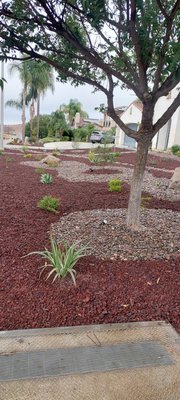 Front Yard - Project - Client had normal grass but wanted a new change for front yard. Front Yard - Project - Client had normal grass but wanted a new change for front yard.