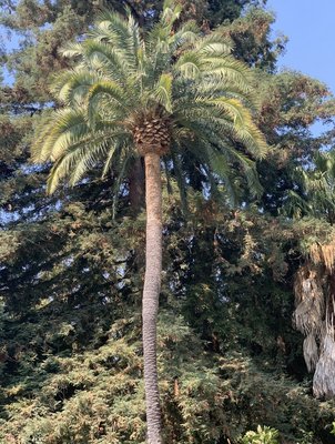 Atherton Project. - This project was done in Atherton California. Atherton Project. - This project was done in Atherton California.