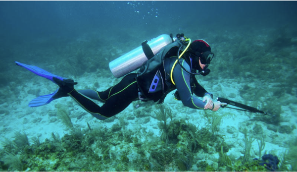 Custom Charter (Half Day & Full Day) - Thirsty for some diving "off the beaten path"? Have some hot spots you wanna hit? Working on a study or other project? Our Custom Charters let you call the shots. Available for half-day (~4 hrs) or full day (7-8 hrs) for up to four certified divers or six freedivers. Custom Charter (Half Day & Full Day) - Thirsty for some diving "off the beaten path"? Have some hot spots you wanna hit? Working on a study or other project? Our Custom Charters let you call the shots. Available for half-day (~4 hrs) or full day (7-8 hrs) for up to four certified divers or six freedivers.