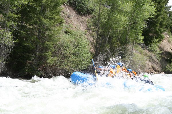 The Blue River is Running for the 1st Time in 3 Years! - The Blue River is a treasure of the Colorado high country. This year water flow is rising quickly toward median year levels. For the last two years, flow was not sufficient for rafting due to drought. In drought years, almost all of the river’s flow is stored in Lake Dillon Reservoir but in wet years, like this year, Denver Water can let the river flow, and we can raft it!
What’s a Raft Trip Like on the Blue River?
The Blue River provides challenging whitewater rafting closest to the major tourist destinations of Breckenridge, Silverthorne, Dillon, Keystone, and Frisco. The river rushes through the White River National Forest, and the scenery surrounding the river is stunning, with tall trees and lush pasturelands. Colorado Rafting Company is permitted by the Forest Service to run the upper Blue from just north of the Town of Silverthorne. We put in at Hanging Bridge, and take out about 2-3 hours later at Columbine Landing. In between we hit fast flows and exciting rapids.
Starting at 8,500 feet and cruising through the Boulder Canyon, we paddle about 3 miles of calmer, fast water as you get used to responding to the guide’s paddle instructions. By the time we’re coordinated as a group, we pick up speed and water volume as Rock Creek and Boulder Creek join the river’s flow. Now you really have to pay attention to the paddle instructions from your guide captaining from the back of the raft. We rapidly drop over 200 feet through named and unnamed class ll to lV rapids named Boulder Creek, Oh Shit, and Pipeline, then we finish up in Columbine Landing. While the classes of rapids varies with water level, all the guides are excited about big water this year!
Why Doesn’t the River Flow Every Year?
River water flow varies naturally year on year based on snowfall, rainfall, and temperatures. This year has been a very wet year. Besides snowfall well above average throughout most of Colorado’s peaks, we have experienced one of the wettest Mays and Junes on record. River flow also varies based on dam releases. Dillon Reservoir water is managed by Denver and Colorado Springs Front Range cities as drinking water, for irrigation, and for hydropower generation. When the state receives more rainfall, lawns are not watered, and the reservoir level rises even faster. Little-known fact: this water is transported to Front Range communities through the Roberts Tunnel, an underground tunnel connecting the reservoir with the South Platte River. Water districts also use Dillon and neighboring Green Mountain Reservoirs for water trades to other districts, so, the lakes help other regions cover their drought periods by, in effect, issuing IOUs for repaying water in their wetter years.
About the Blue River
The river rises south of Breckenridge near Quandary Peak at 14,200 feet, and flows downward through the town, then is collected in the Dillon Reservoir where it is retained for domestic water supplies and for recreation. In summer you’ll see sailboats, paddle boards, and kayakers crisscrossing the lake, but no swimming is allowed.
Besides demand for drinking water, irrigation, and hydropower these threaten the river:
-Historical dredge boat gold mining and hard rock mining of gold, silver, lead, copper, and zinc, which causes a loss of flow and stability, and contaminates the waters with heavy metals
-Deforestation and trees killed by beetle infestations increase the risk of catastrophic wildfires, erosion, and mudslides.
-Nearby roadways can add sediment and chemicals to rivers.
-Invasive and non-native aquatic species, like pike, brook trout, and mussels
-Gold Medal fishing status was lost in 2016.
-A very serious future threat is drought mitigation and the possibility for a Colorado River Compact call for water from the reservoir.
Thanks in great part to the efforts of huge gains have been made in restoring this mighty river to its earlier pristine beauty. Come join us on this river! We anticipate being able to run into mid-July but you have to call to see if it's still running. Enjoy this amazing run while we can!! The Blue River is Running for the 1st Time in 3 Years! - The Blue River is a treasure of the Colorado high country. This year water flow is rising quickly toward median year levels. For the last two years, flow was not sufficient for rafting due to drought. In drought years, almost all of the river’s flow is stored in Lake Dillon Reservoir but in wet years, like this year, Denver Water can let the river flow, and we can raft it!
What’s a Raft Trip Like on the Blue River?
The Blue River provides challenging whitewater rafting closest to the major tourist destinations of Breckenridge, Silverthorne, Dillon, Keystone, and Frisco. The river rushes through the White River National Forest, and the scenery surrounding the river is stunning, with tall trees and lush pasturelands. Colorado Rafting Company is permitted by the Forest Service to run the upper Blue from just north of the Town of Silverthorne. We put in at Hanging Bridge, and take out about 2-3 hours later at Columbine Landing. In between we hit fast flows and exciting rapids.
Starting at 8,500 feet and cruising through the Boulder Canyon, we paddle about 3 miles of calmer, fast water as you get used to responding to the guide’s paddle instructions. By the time we’re coordinated as a group, we pick up speed and water volume as Rock Creek and Boulder Creek join the river’s flow. Now you really have to pay attention to the paddle instructions from your guide captaining from the back of the raft. We rapidly drop over 200 feet through named and unnamed class ll to lV rapids named Boulder Creek, Oh Shit, and Pipeline, then we finish up in Columbine Landing. While the classes of rapids varies with water level, all the guides are excited about big water this year!
Why Doesn’t the River Flow Every Year?
River water flow varies naturally year on year based on snowfall, rainfall, and temperatures. This year has been a very wet year. Besides snowfall well above average throughout most of Colorado’s peaks, we have experienced one of the wettest Mays and Junes on record. River flow also varies based on dam releases. Dillon Reservoir water is managed by Denver and Colorado Springs Front Range cities as drinking water, for irrigation, and for hydropower generation. When the state receives more rainfall, lawns are not watered, and the reservoir level rises even faster. Little-known fact: this water is transported to Front Range communities through the Roberts Tunnel, an underground tunnel connecting the reservoir with the South Platte River. Water districts also use Dillon and neighboring Green Mountain Reservoirs for water trades to other districts, so, the lakes help other regions cover their drought periods by, in effect, issuing IOUs for repaying water in their wetter years.
About the Blue River
The river rises south of Breckenridge near Quandary Peak at 14,200 feet, and flows downward through the town, then is collected in the Dillon Reservoir where it is retained for domestic water supplies and for recreation. In summer you’ll see sailboats, paddle boards, and kayakers crisscrossing the lake, but no swimming is allowed.
Besides demand for drinking water, irrigation, and hydropower these threaten the river:
-Historical dredge boat gold mining and hard rock mining of gold, silver, lead, copper, and zinc, which causes a loss of flow and stability, and contaminates the waters with heavy metals
-Deforestation and trees killed by beetle infestations increase the risk of catastrophic wildfires, erosion, and mudslides.
-Nearby roadways can add sediment and chemicals to rivers.
-Invasive and non-native aquatic species, like pike, brook trout, and mussels
-Gold Medal fishing status was lost in 2016.
-A very serious future threat is drought mitigation and the possibility for a Colorado River Compact call for water from the reservoir.
Thanks in great part to the efforts of huge gains have been made in restoring this mighty river to its earlier pristine beauty. Come join us on this river! We anticipate being able to run into mid-July but you have to call to see if it's still running. Enjoy this amazing run while we can!!
